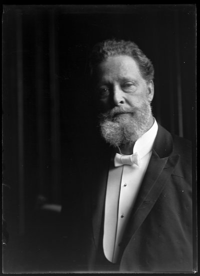 Ritratto di Charles Lueger (1897-1910) da Ferdinand Schmutzer
