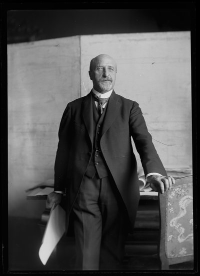 Immagine di Karl Seitz (1869-1950) da Ferdinand Schmutzer