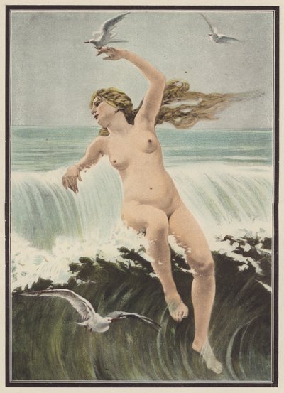 Onde e gabbiani da Ferdinand Victor Eugene (after) Delacroix
