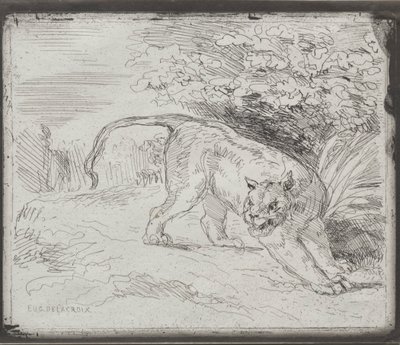 Una tigre intrappolata da Ferdinand Victor Eugene Delacroix
