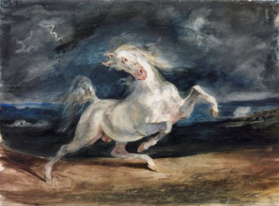 Cavallo spaventato dal fulmine da Ferdinand Victor Eugene Delacroix