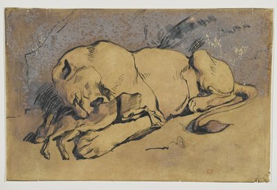 Leonessa che divora un coniglio da Ferdinand Victor Eugene Delacroix