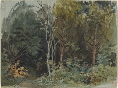 Il bordo di un bosco a Nohant, c. 1842-1843 da Ferdinand Victor Eugene Delacroix