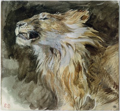 La testa di un leone da Ferdinand Victor Eugene Delacroix