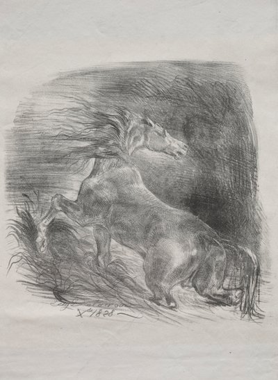 Il cavallo selvaggio, o cavallo spaventato che lascia l