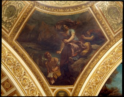 La morte di Plinio il Vecchio durante l