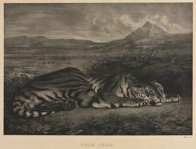 Tigre Reale, 1829 da Ferdinand Victor Eugene Delacroix