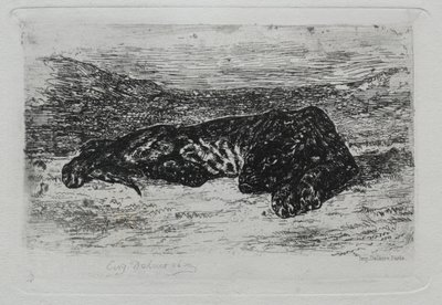 Tigre sdraiata nel deserto da Ferdinand Victor Eugene Delacroix