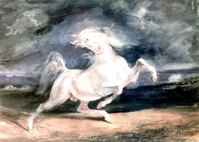 Cavallo bianco, XIX secolo da Ferdinand Victor Eugene Delacroix