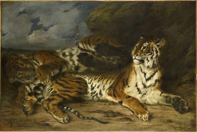 Giovane tigre che gioca con la madre, 1830 da Ferdinand Victor Eugene Delacroix