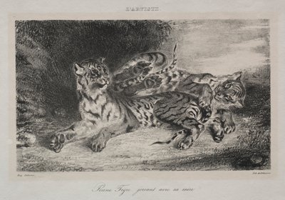 Giovane tigre che gioca con la madre, 1831 da Ferdinand Victor Eugene Delacroix
