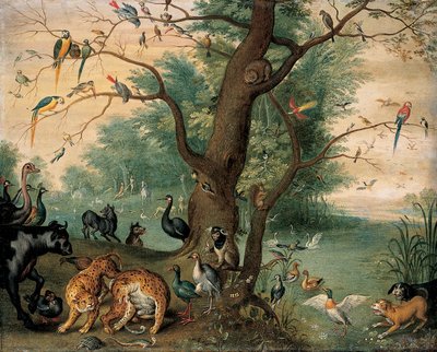 Animali e uccelli nel Giardino dell