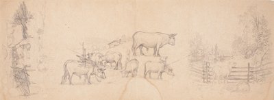 Vari schizzi di mucche e tori da Ferdinand von Wright
