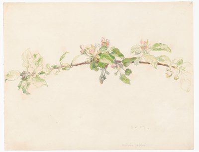 Ramo di melo in fiore da Ferdynand Ruszczyc
