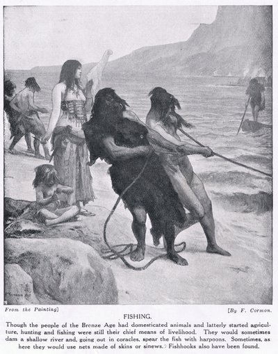 Pesca, illustrazione da 