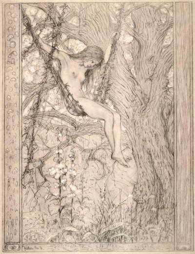 Altalena di liane da Fidus