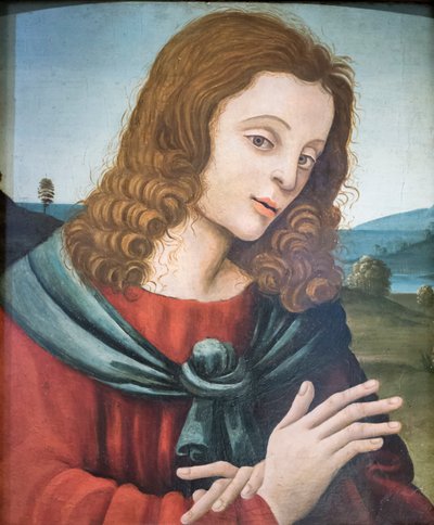 San Giovanni evangelista, seguace di Filippino Lippi da Filippino Lippi