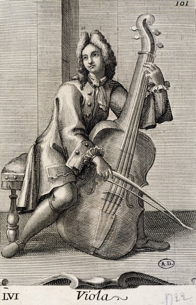 Uomo che suona la viola da Filippo Bonanni