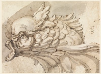 Disegno, Testa di un delfino, ca. 1775 da Filippo Marchionni