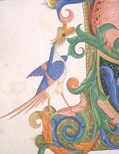 Uccello fantastico (dettaglio) da Filippo di Matteo Torelli