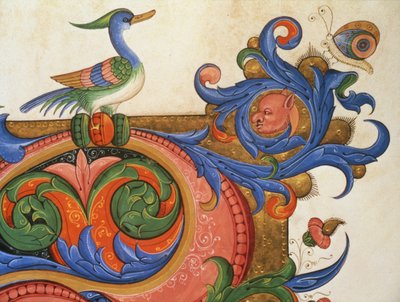 Fogliame zoomorfo con uccello simile a un