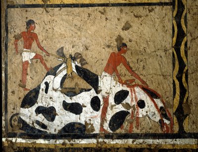 Antichità egiziana: un toro viene sacrificato davanti a un sarcofago. Tempera su argilla e paglia dalla tomba del Generale e Cancelliere del Re Iti a El Ghebelen vicino a Luxor. 2200-2000 a.C. Torino, Museo Egizio da First Intermediate Period Egyptian