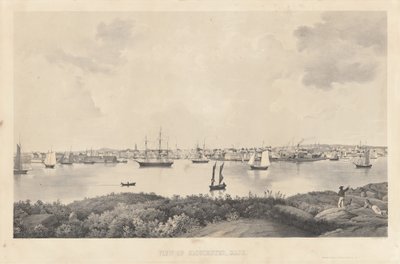 Veduta di Gloucester, Mass. da Fitz Henry Lane
