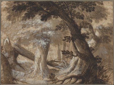 Interno della foresta da Flemish 17th Century