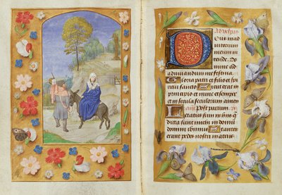 La Fuga in Egitto, dalle Ore di Hastings, c.1475-83 da Flemish School