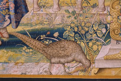 Serie Vertumno e Pomona: Vertumno trasformato in contadino. Atelier Willem de Pannemaker. Ca 1545-1550. (dettaglio) da Flemish School
