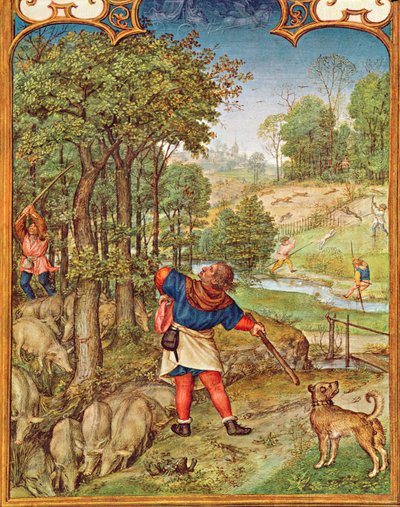 Fol.11v Il mese di novembre: Raccolta di ghiande per i maiali e caccia, dal Breviarium Grimani, c.1515 da Flemish School