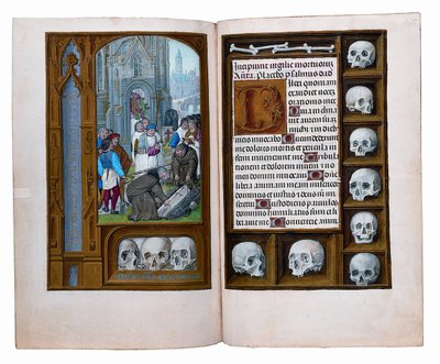 Fogli del Libro d