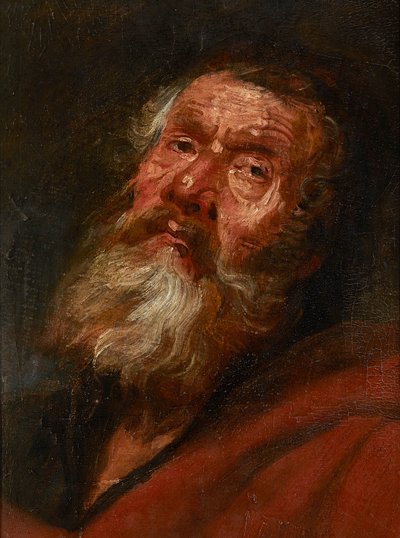 Schizzo della testa di un apostolo da Flemish School