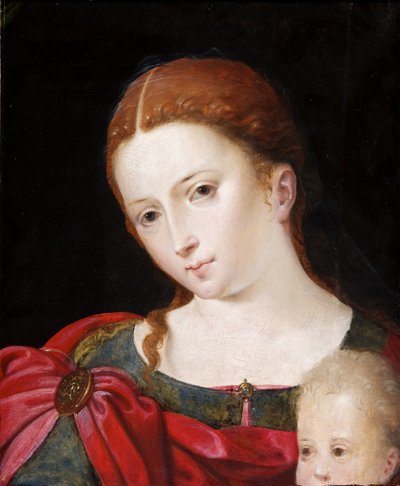 Testa e spalle di una ragazza con mantello rosso su vestito blu, c.1550 da Flemish School