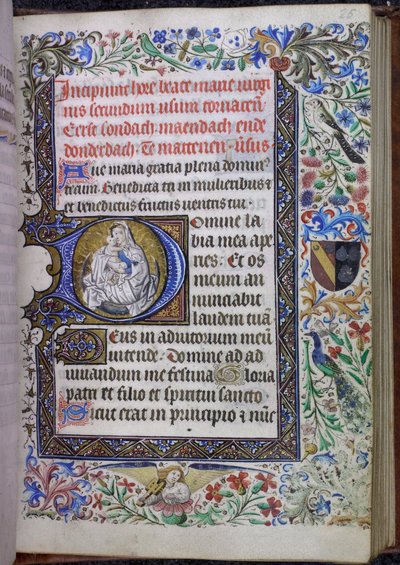 Iniziale istoriata con la Vergine e il Bambino, Libro delle Ore, Uso di Tournai, su una mezzaluna combinata con un bordo a tre lati e un bordo completo con foglie di acanto, fiori, uccelli, un angelo musicista e uno stemma da Flemish School