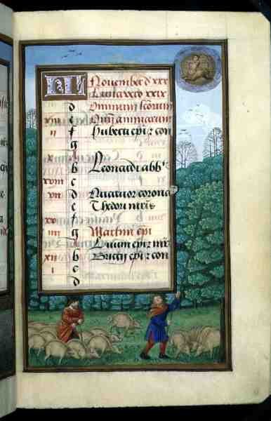 Ms 1058-1975 f.11r Custodia dei maiali e battitura delle querce, pagina del calendario illuminata per novembre, da un Libro d