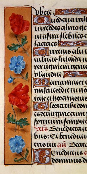 Dettaglio di un bordo floreale da un Libro d