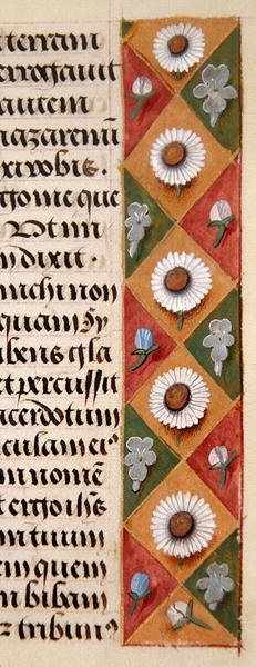 Dettaglio di un bordo floreale da un Libro d