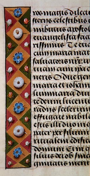 Ms. 1058-1975, f.16r: (dettaglio) di un bordo floreale da un Libro d