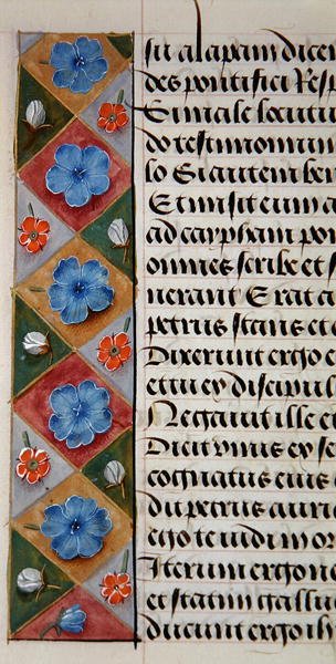 Ms. 1058-1975, f.17v: (dettaglio) di un bordo floreale da un Libro d