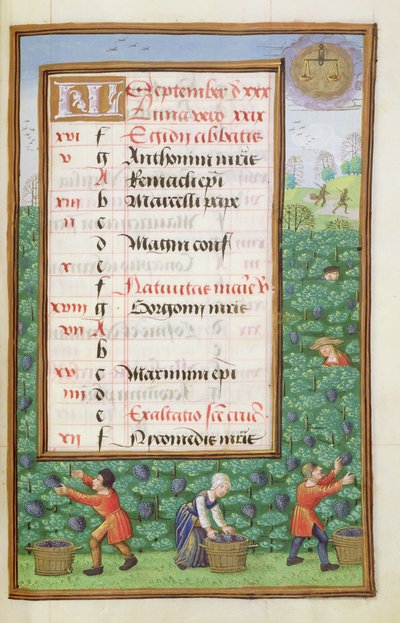 Ms 1058-1975 f9r Raccolta dell