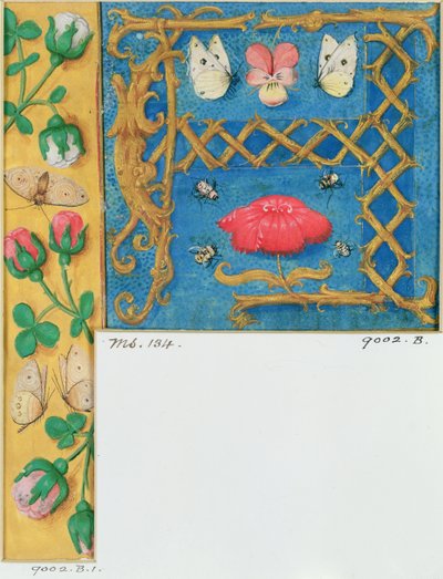 Lettera miniata 