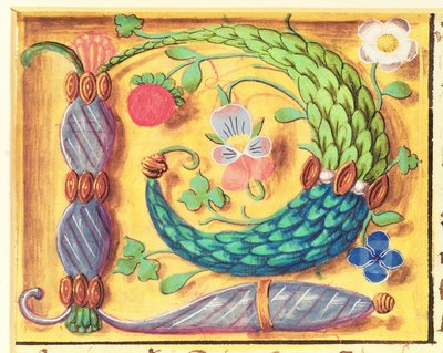 Lettera miniata 