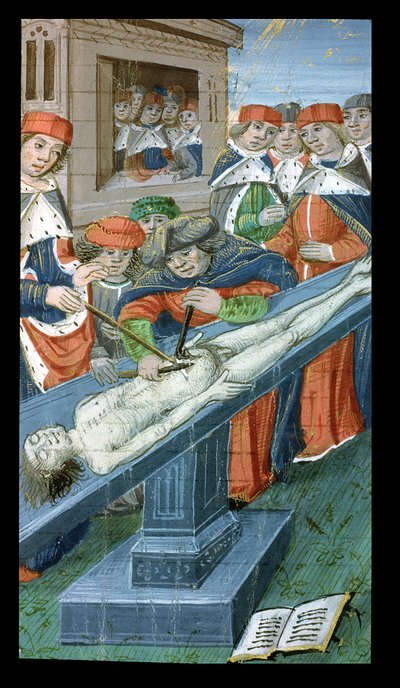Dissezione, da De Medina Fen I. II, di Avicenna (980-1037) da Flemish School