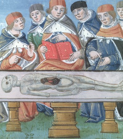 Dissezione, da De Medina Fen I. II, di Avicenna (980-1037) da Flemish School
