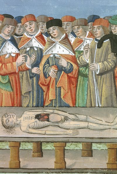Dissezione, da De Medina Fen I. II, di Avicenna (980-1037) da Flemish School