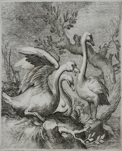 Incisione di un antico maestro da Flemish School