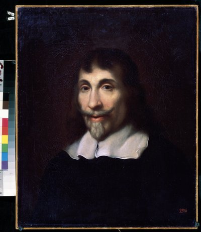 Ritratto di un uomo da Flemish School