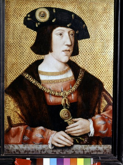 Ritratto di Carlo V (1500 - 1558), Imperatore di Germania. Scuola fiamminga del XVI secolo da Flemish School