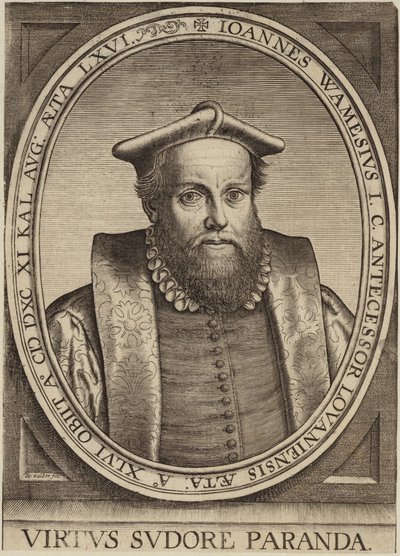 Ritratto di Jan Wamesius da Flemish School